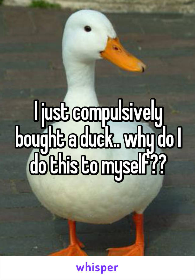 I just compulsively bought a duck.. why do I do this to myself??
