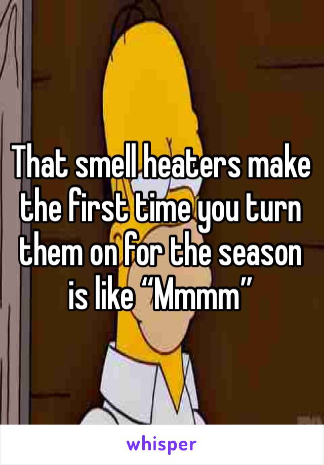 That smell heaters make the first time you turn them on for the season is like “Mmmm”