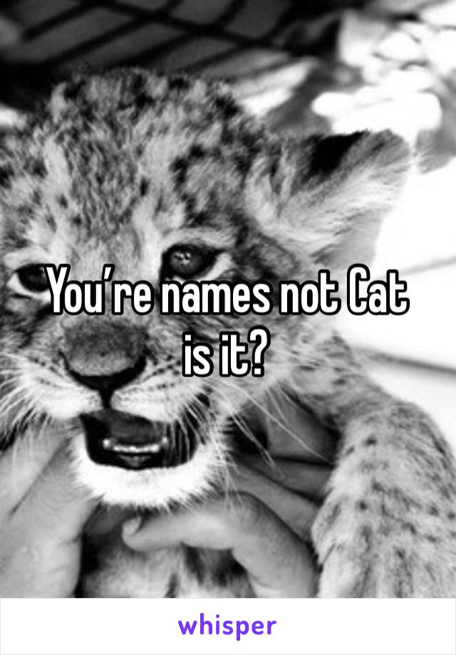 You’re names not Cat is it?