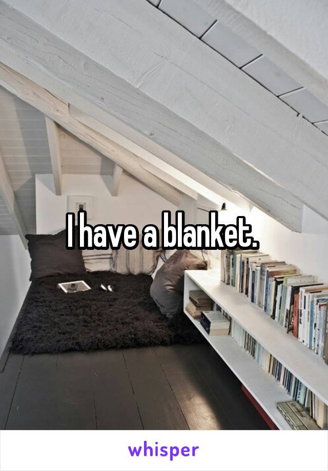 I have a blanket. 