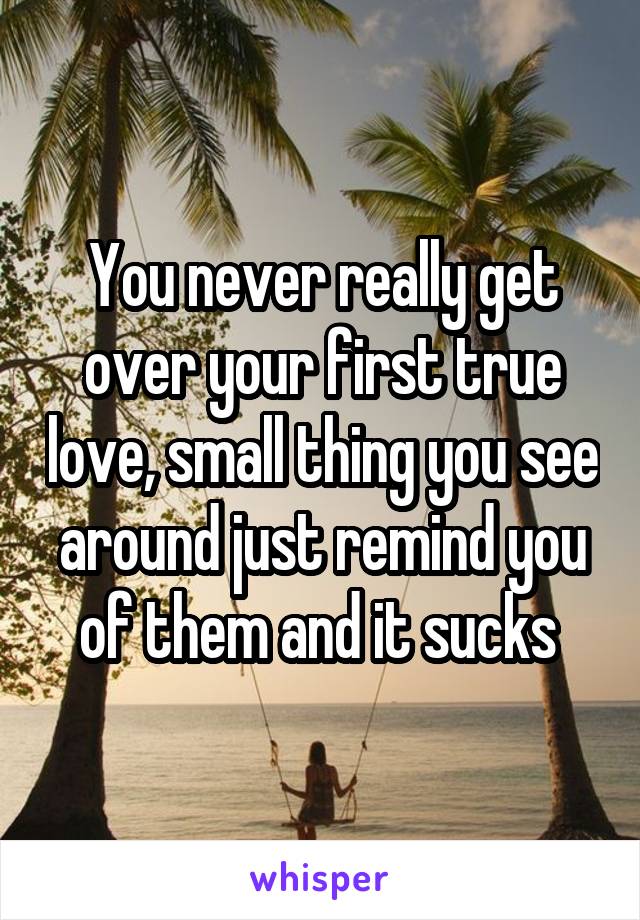 You never really get over your first true love, small thing you see around just remind you of them and it sucks 