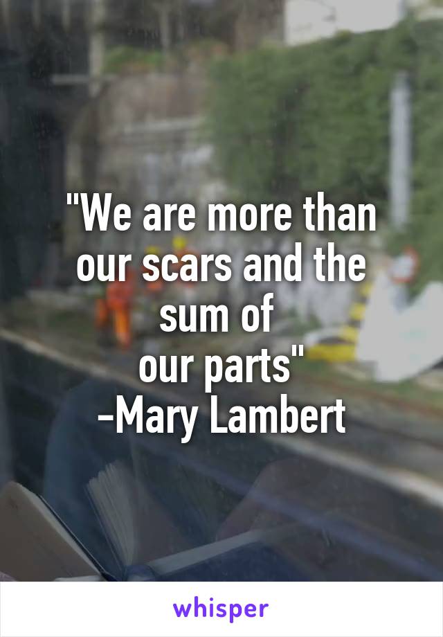"We are more than
our scars and the sum of 
our parts"
-Mary Lambert