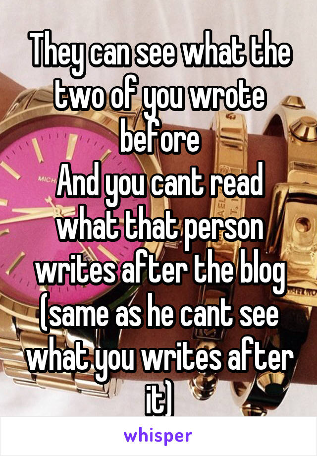 They can see what the two of you wrote before
And you cant read what that person writes after the blog (same as he cant see what you writes after it)