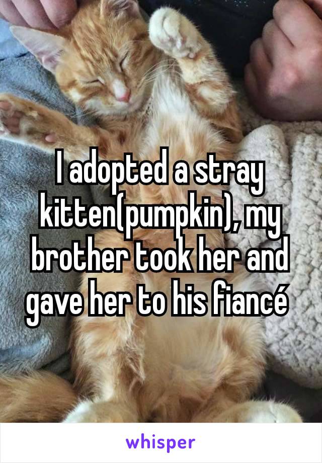I adopted a stray kitten(pumpkin), my brother took her and gave her to his fiancé 