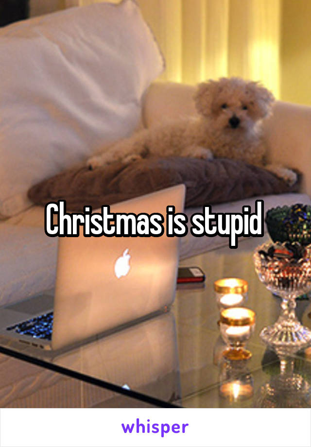 Christmas is stupid 