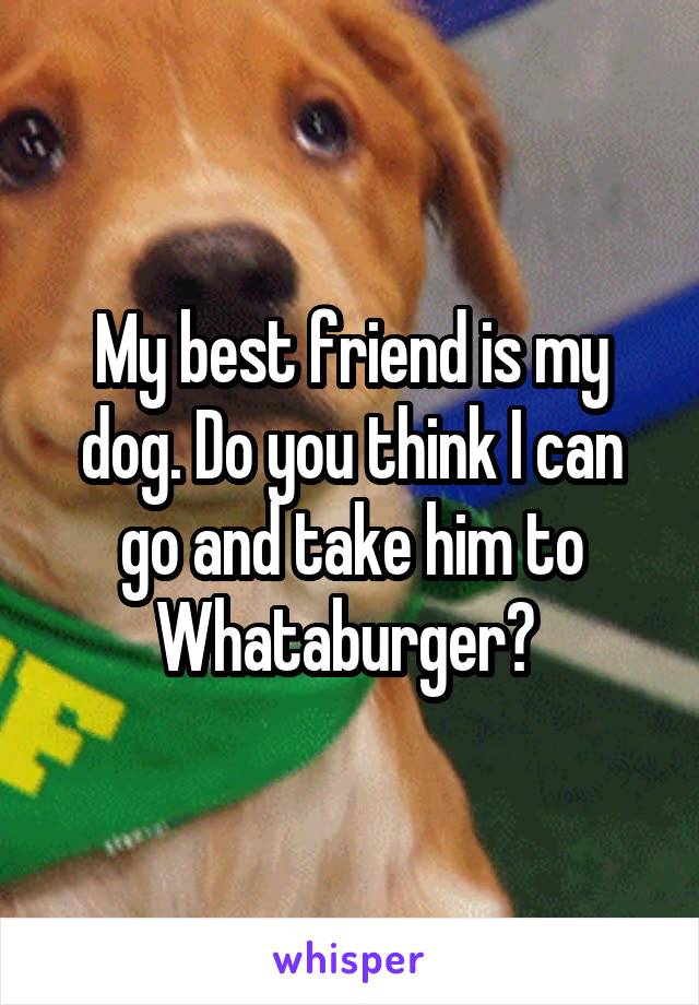 My best friend is my dog. Do you think I can go and take him to Whataburger? 