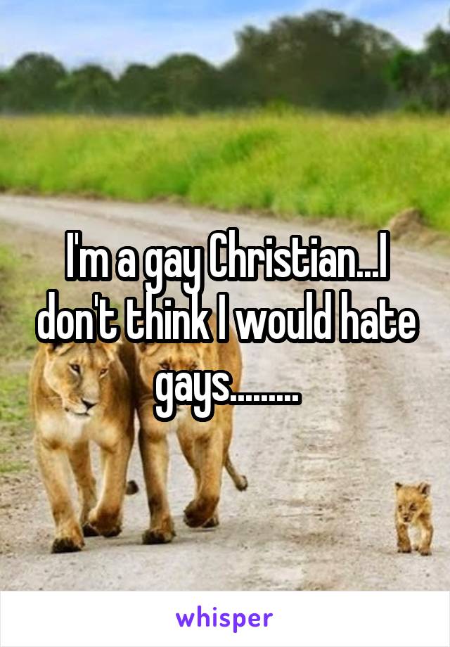 I'm a gay Christian...I don't think I would hate gays.........