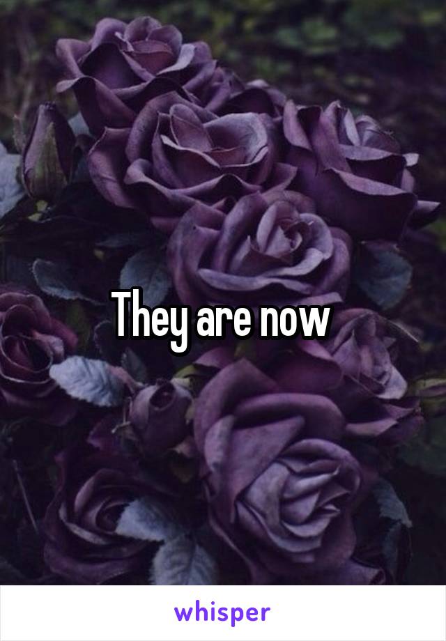 They are now 