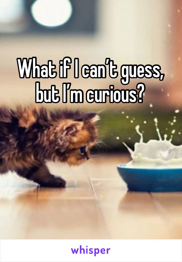 What if I can’t guess, but I’m curious?