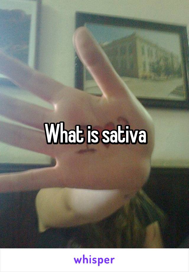 What is sativa