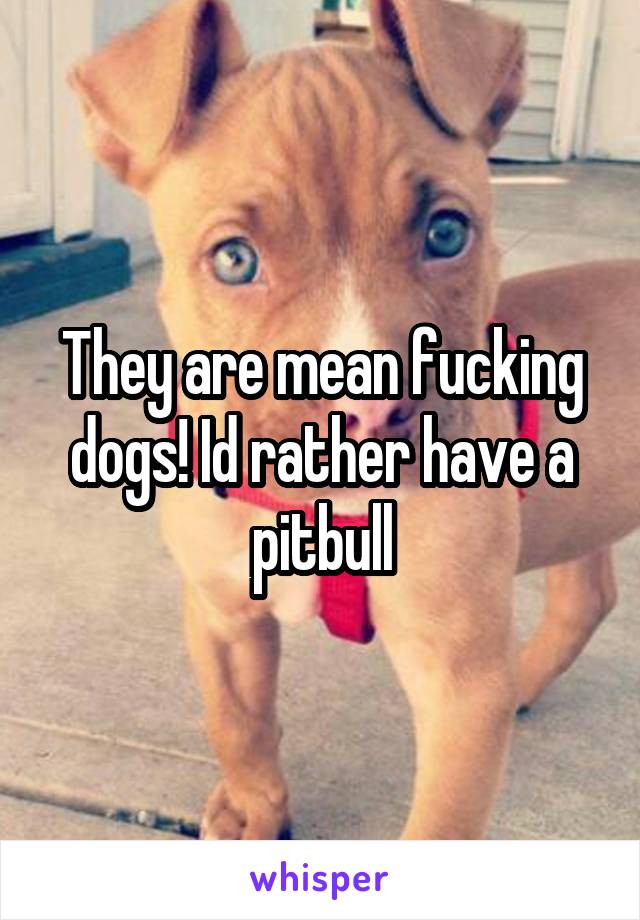 They are mean fucking dogs! Id rather have a pitbull