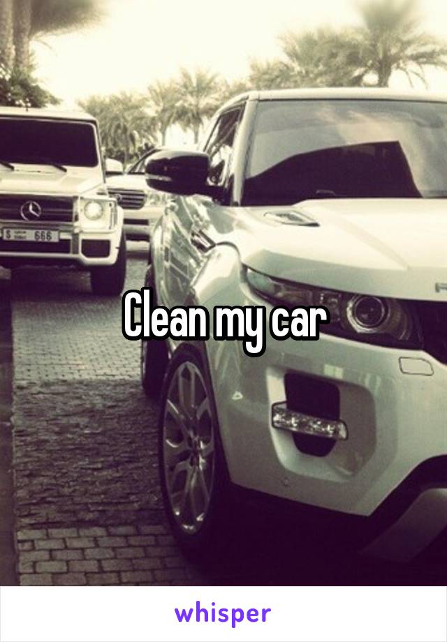 Clean my car