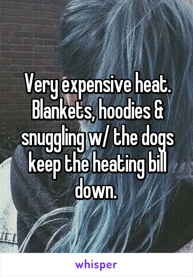 Very expensive heat. Blankets, hoodies & snuggling w/ the dogs keep the heating bill down. 