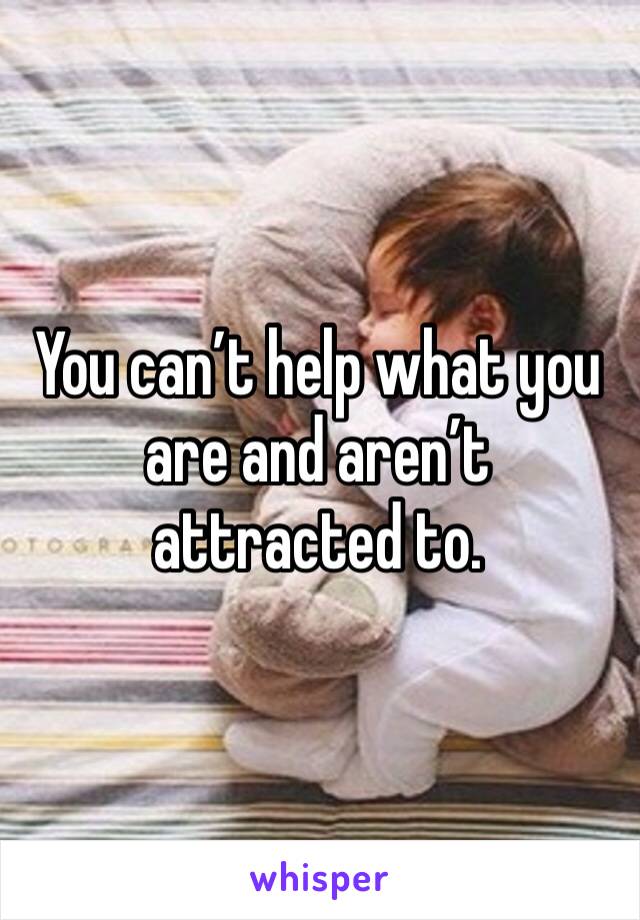 You can’t help what you are and aren’t attracted to. 
