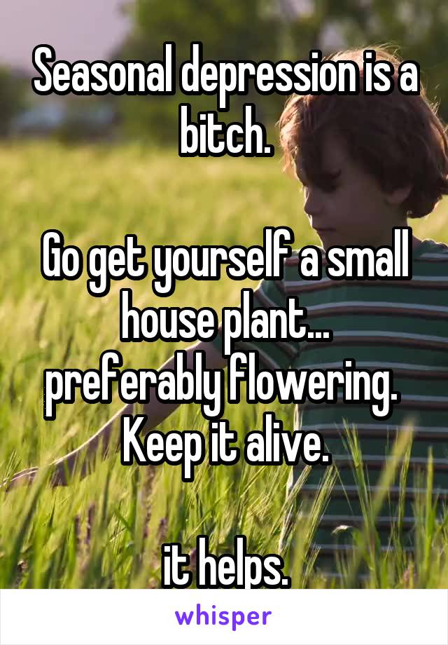 Seasonal depression is a bitch.

Go get yourself a small house plant... preferably flowering.  Keep it alive.

it helps.