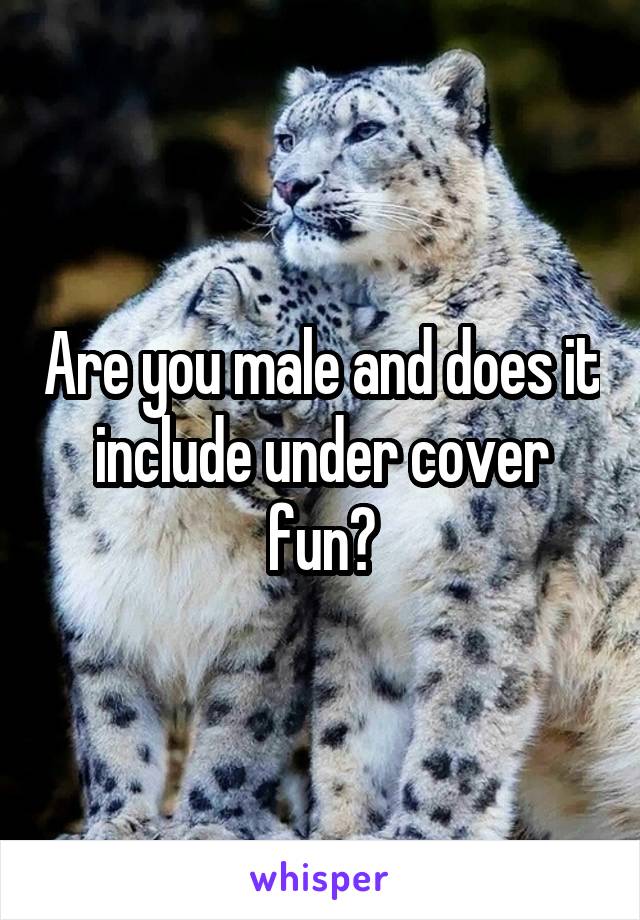 Are you male and does it include under cover fun?