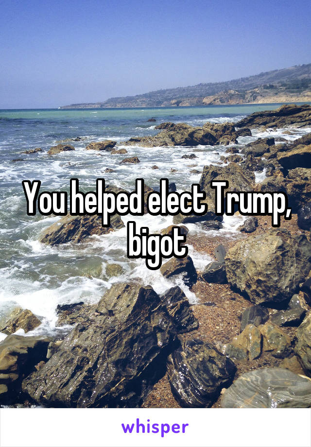 You helped elect Trump, bigot
