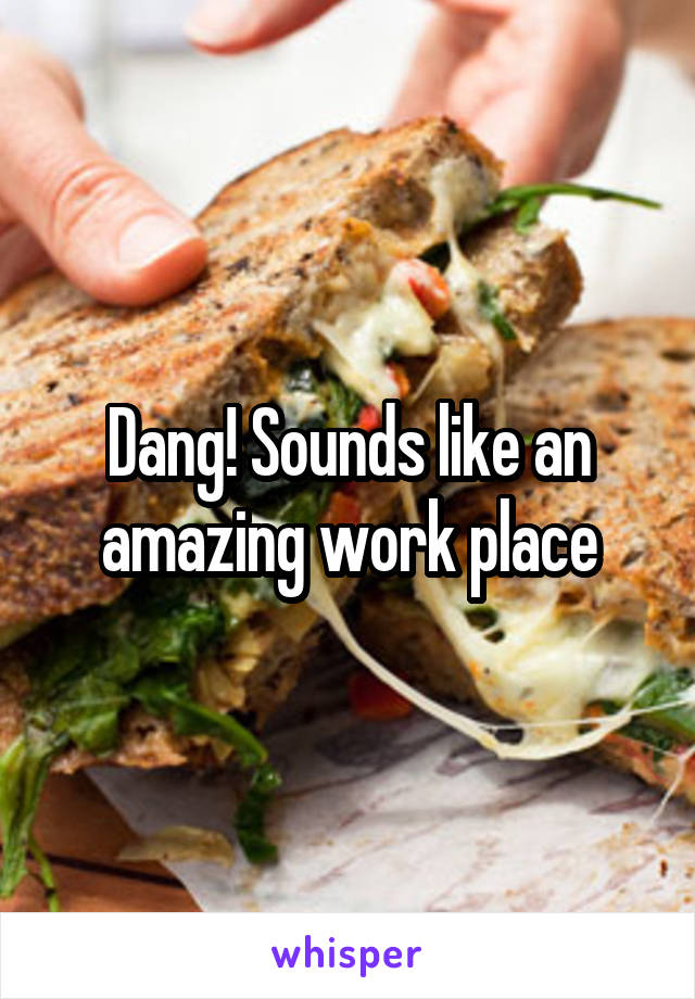 Dang! Sounds like an amazing work place