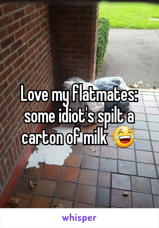 Love my flatmates: some idiot's spilt a carton of milk 😂