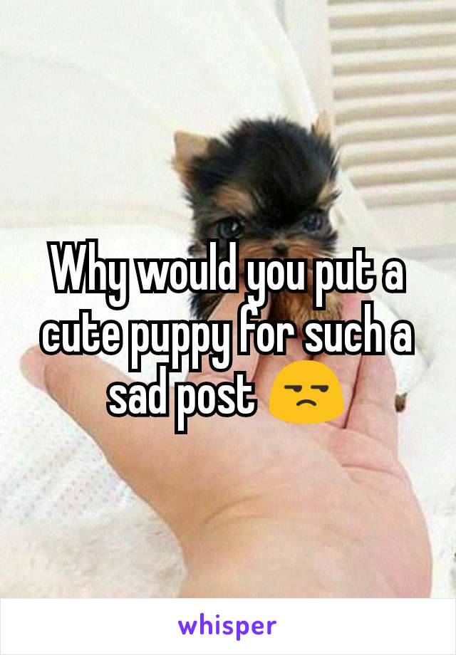 Why would you put a cute puppy for such a sad post 😒