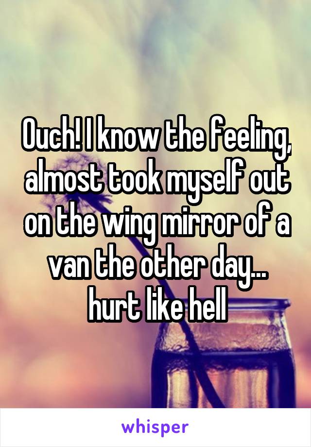 Ouch! I know the feeling, almost took myself out on the wing mirror of a van the other day... hurt like hell