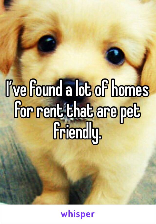 I’ve found a lot of homes for rent that are pet friendly. 