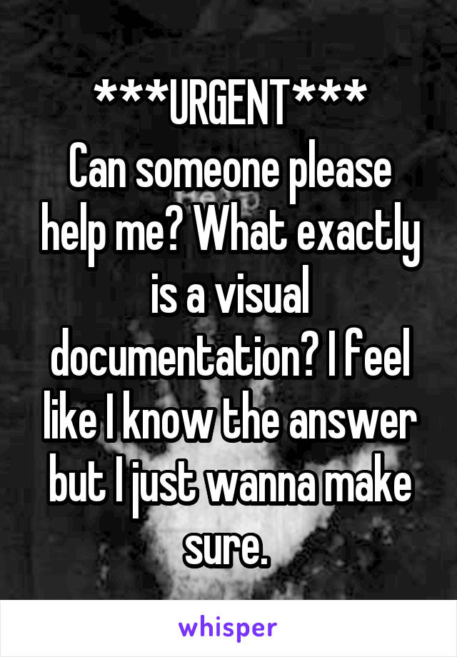 ***URGENT***
Can someone please help me? What exactly is a visual documentation? I feel like I know the answer but I just wanna make sure. 