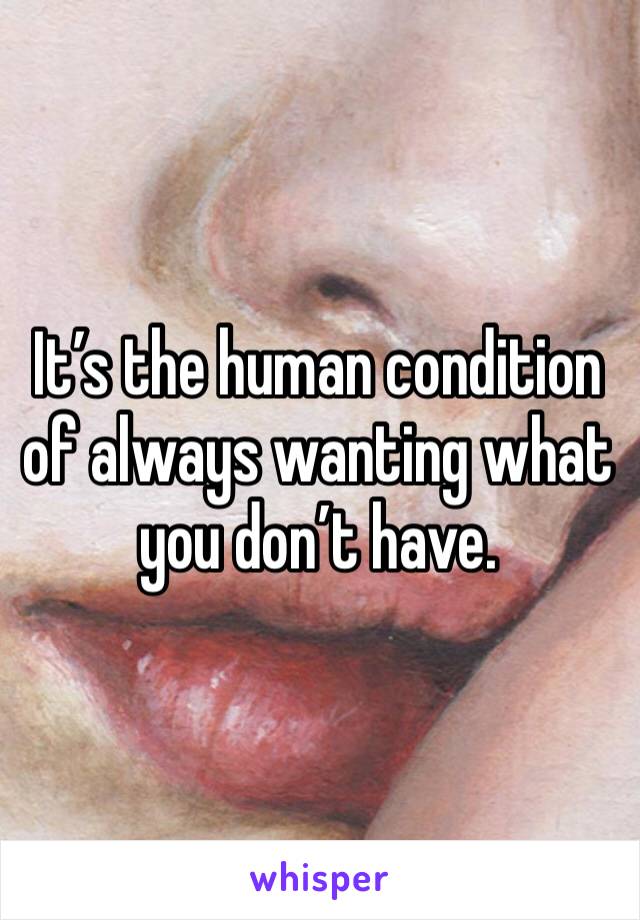 It’s the human condition of always wanting what you don’t have.