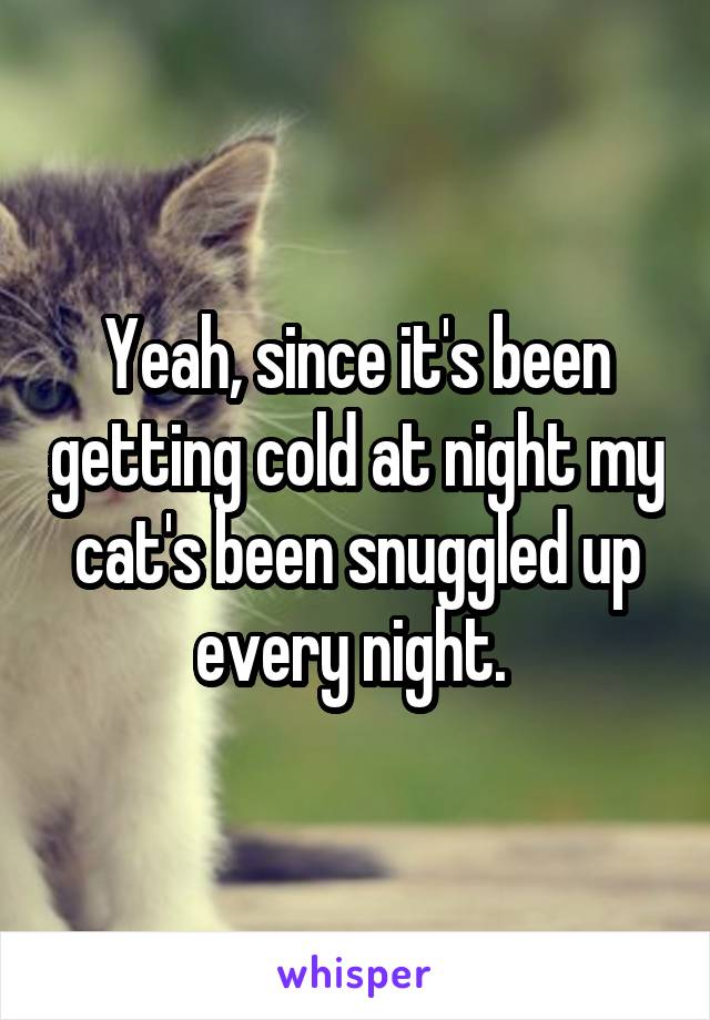 Yeah, since it's been getting cold at night my cat's been snuggled up every night. 