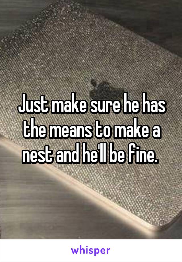 Just make sure he has the means to make a nest and he'll be fine. 