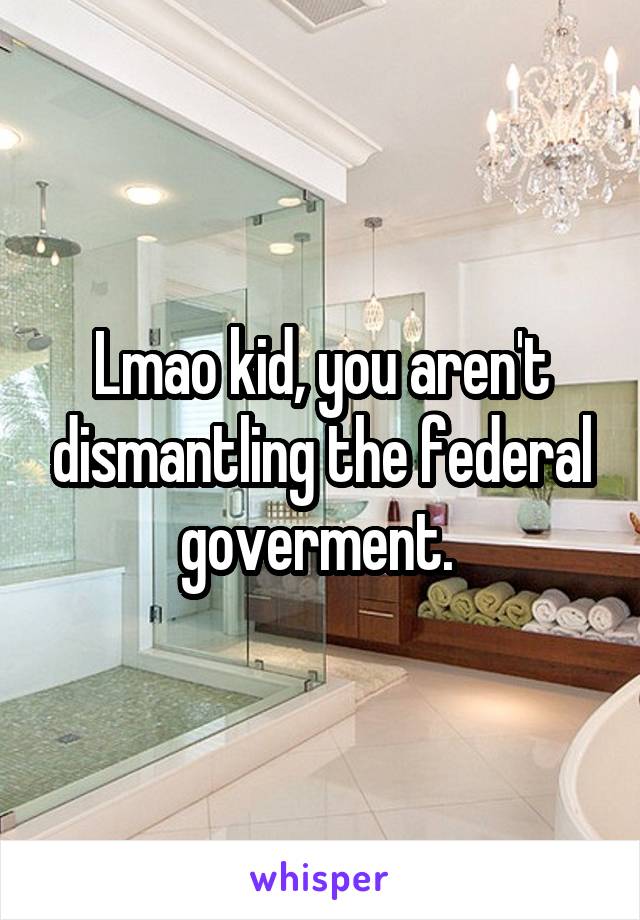 Lmao kid, you aren't dismantling the federal goverment. 