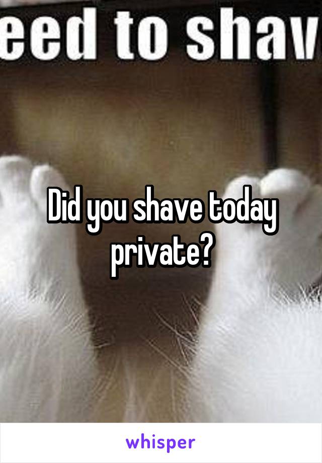 Did you shave today private?
