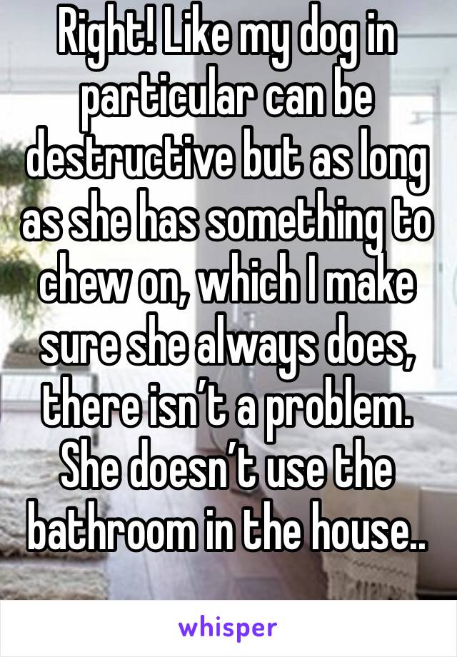 Right! Like my dog in particular can be destructive but as long as she has something to chew on, which I make sure she always does, there isn’t a problem. She doesn’t use the bathroom in the house.. 