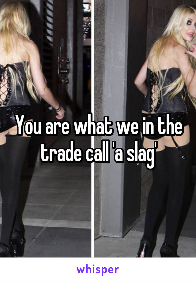 You are what we in the trade call 'a slag'