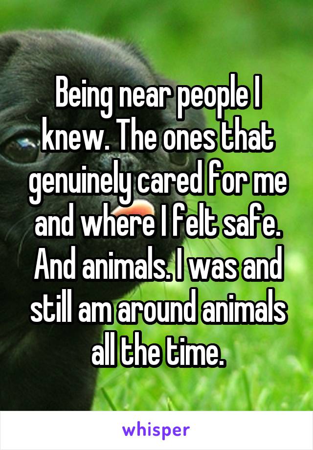 Being near people I knew. The ones that genuinely cared for me and where I felt safe. And animals. I was and still am around animals all the time.