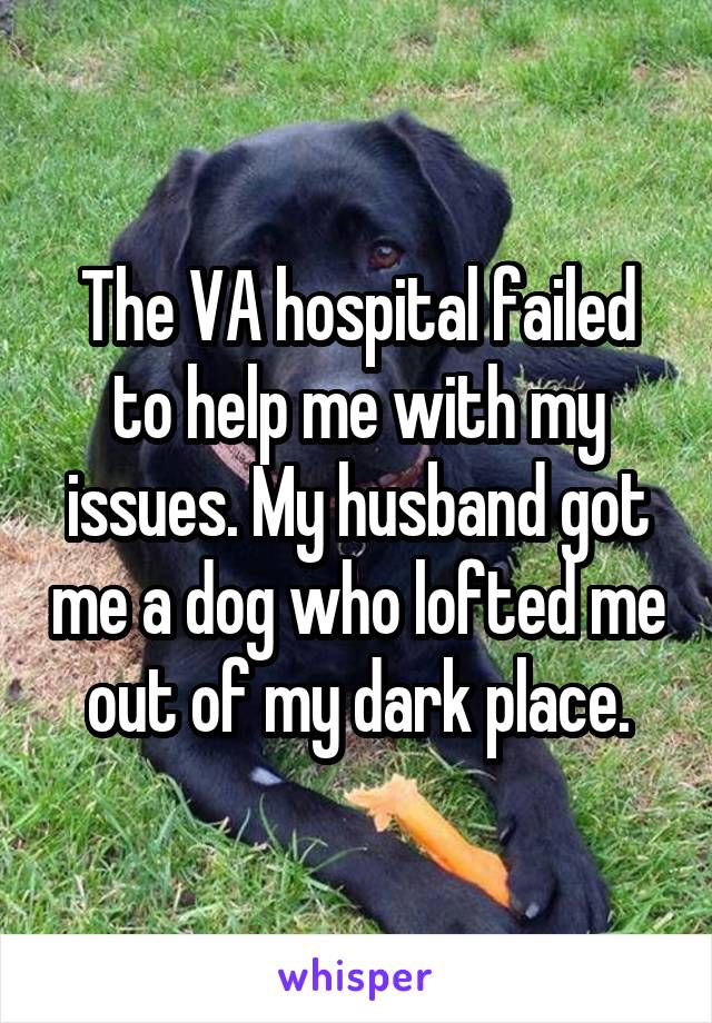 The VA hospital failed to help me with my issues. My husband got me a dog who lofted me out of my dark place.