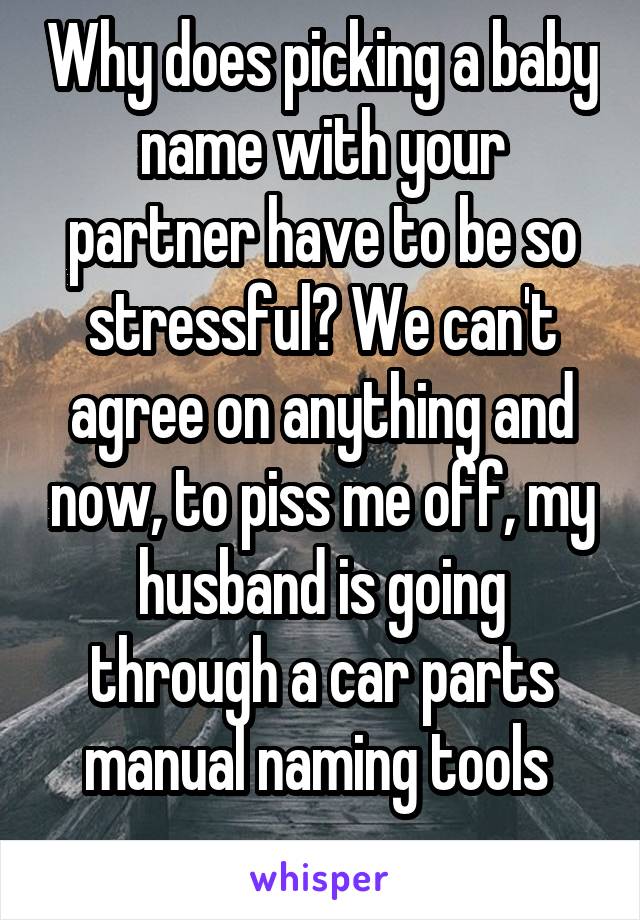 Why does picking a baby name with your partner have to be so stressful? We can't agree on anything and now, to piss me off, my husband is going through a car parts manual naming tools 

