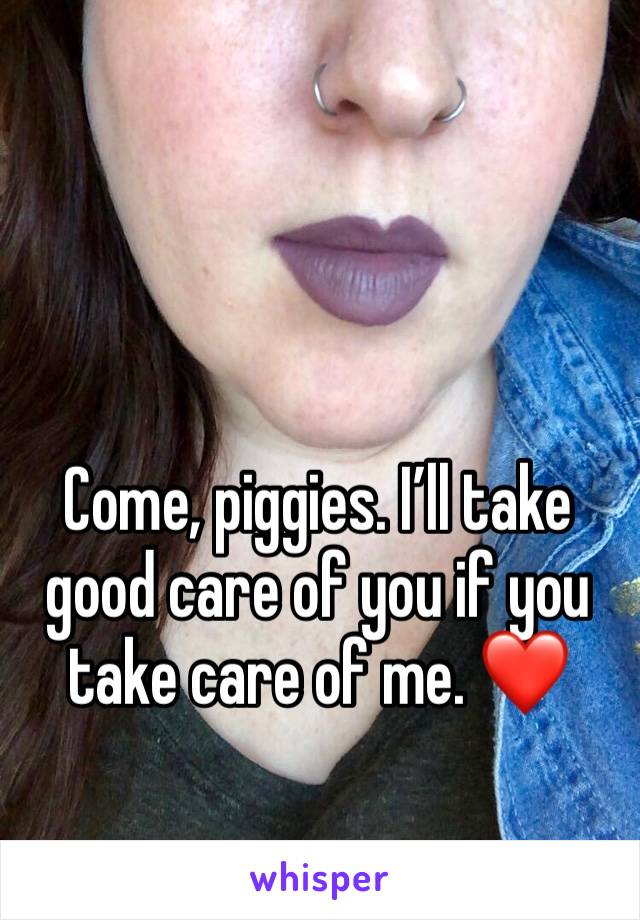Come, piggies. I’ll take good care of you if you take care of me. ❤️