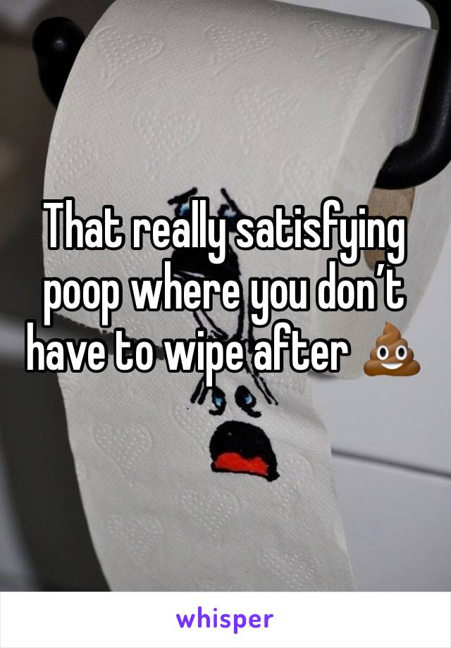 That really satisfying poop where you don’t have to wipe after 💩