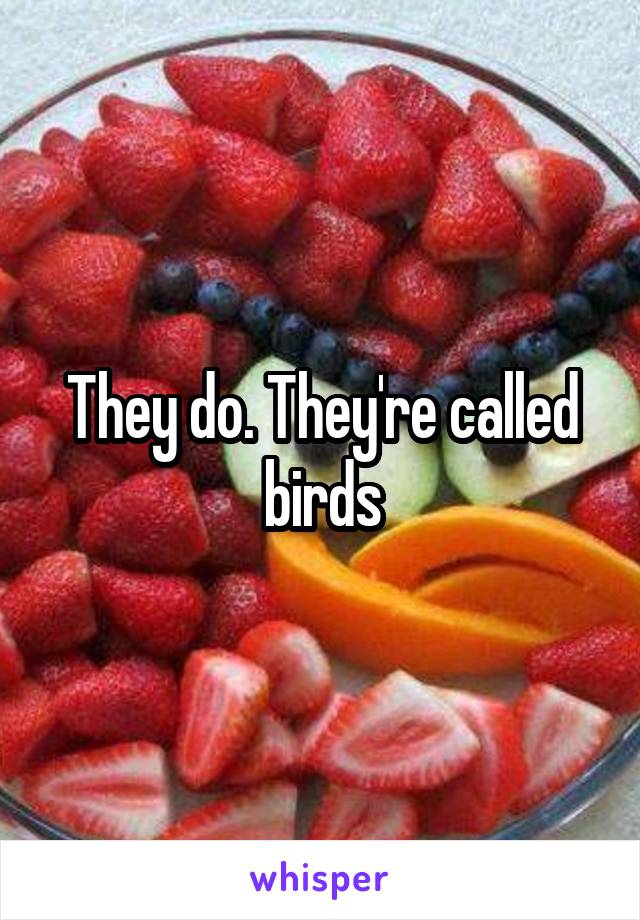 They do. They're called birds