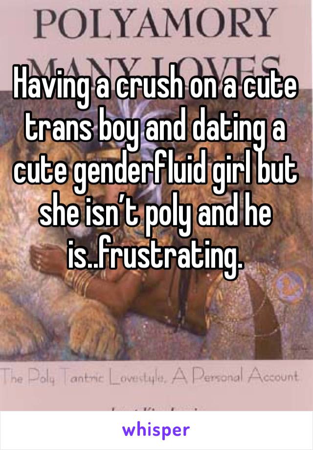 Having a crush on a cute trans boy and dating a cute genderfluid girl but she isn’t poly and he is..frustrating. 