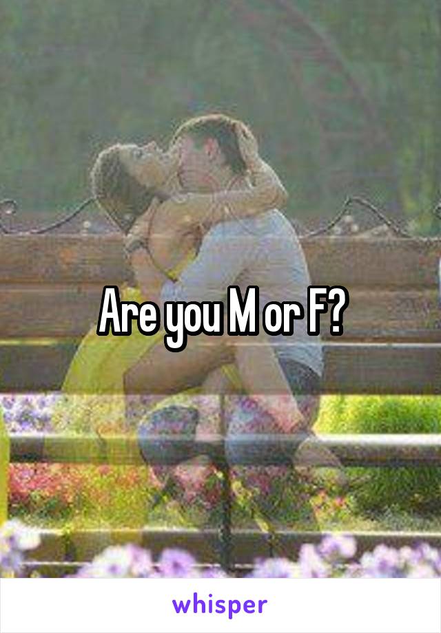 Are you M or F?