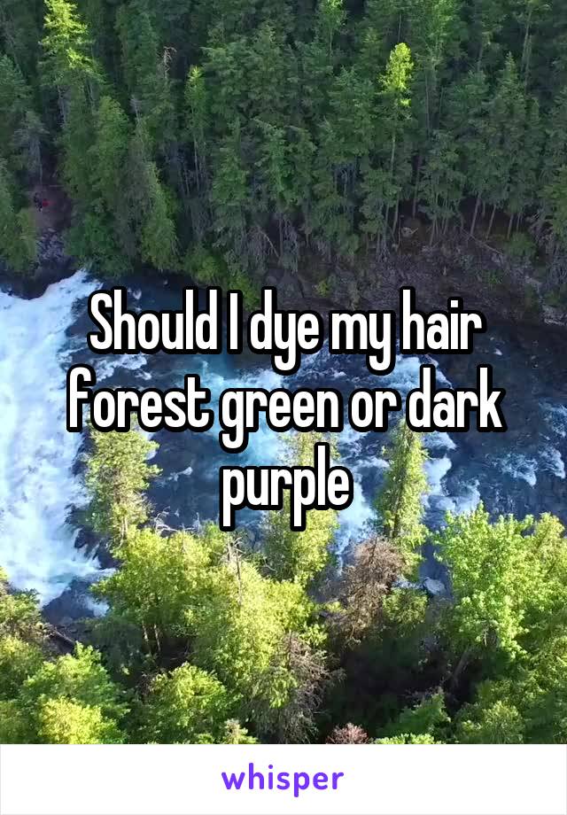 Should I dye my hair forest green or dark purple