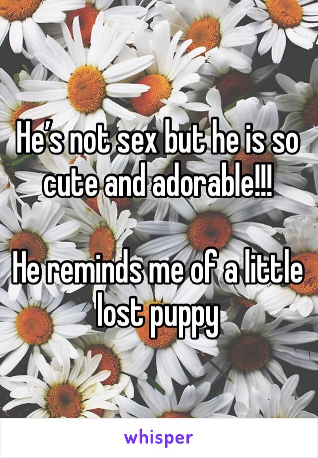 He’s not sex but he is so cute and adorable!!!

He reminds me of a little lost puppy