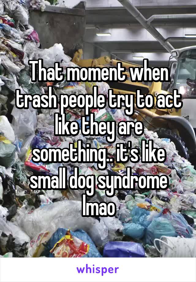 That moment when trash people try to act like they are something.. it's like small dog syndrome lmao