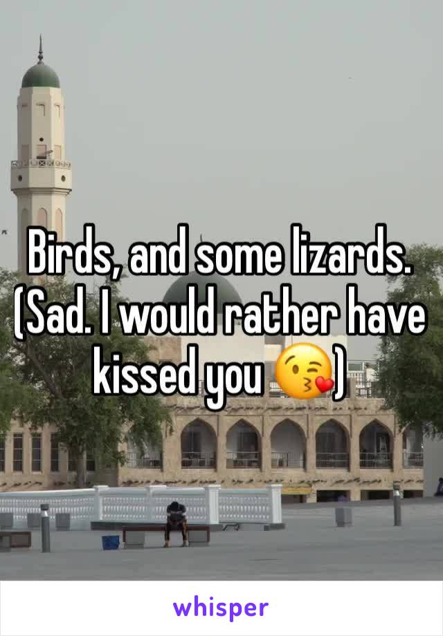 Birds, and some lizards.
(Sad. I would rather have kissed you 😘)