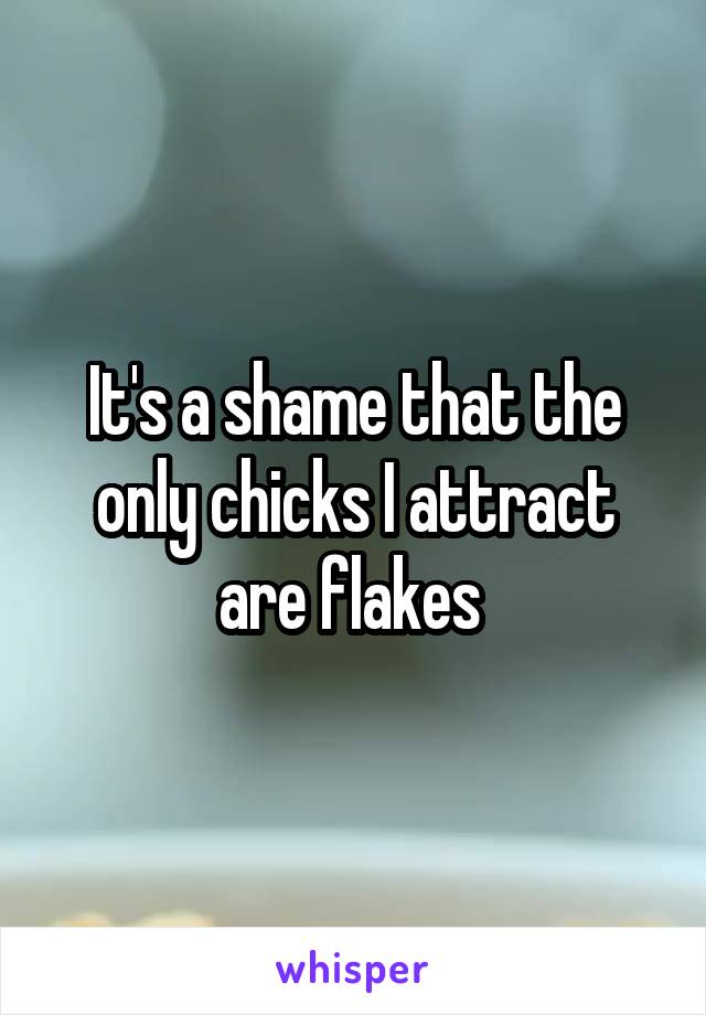 It's a shame that the only chicks I attract are flakes 
