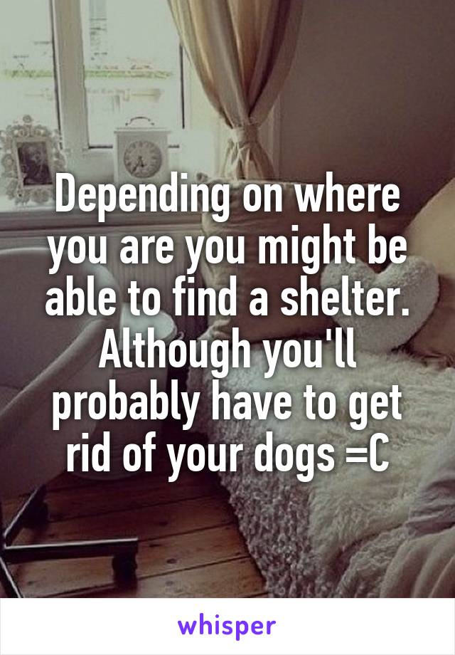 Depending on where you are you might be able to find a shelter. Although you'll probably have to get rid of your dogs =C