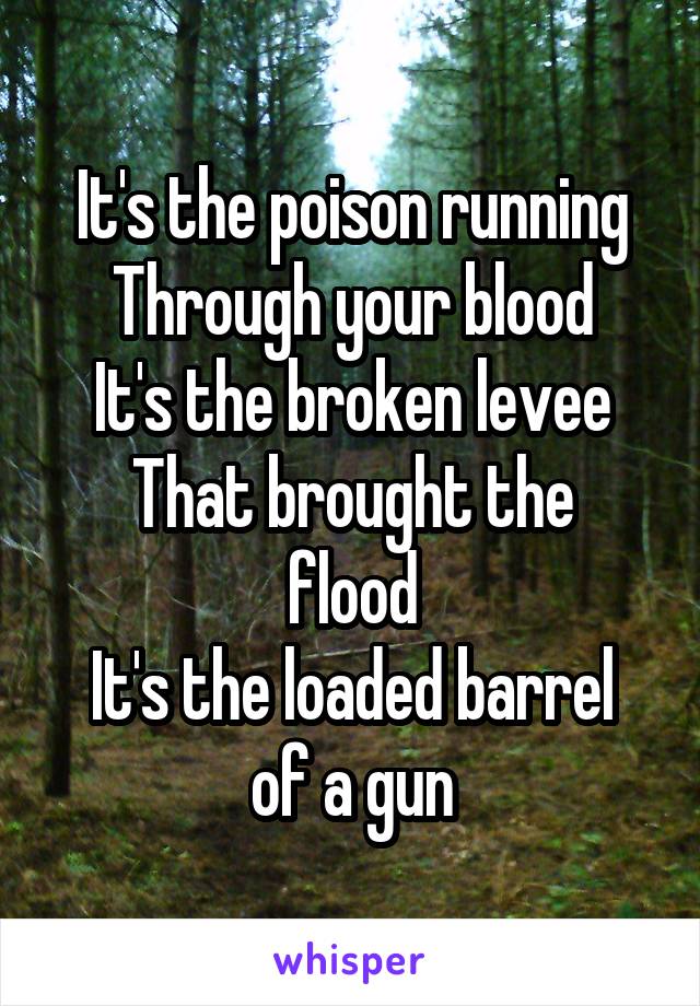 It's the poison running
Through your blood
It's the broken levee
That brought the flood
It's the loaded barrel of a gun