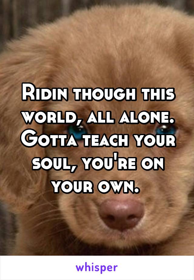 Ridin though this world, all alone. Gotta teach your soul, you're on your own. 